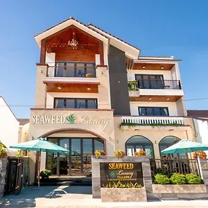 https://seaweed-luxury-villa-spa.hotelsofhoian.com